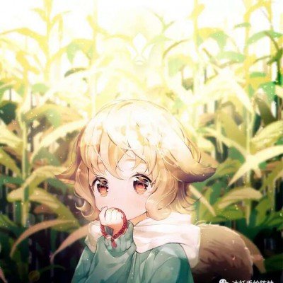 伪娘
